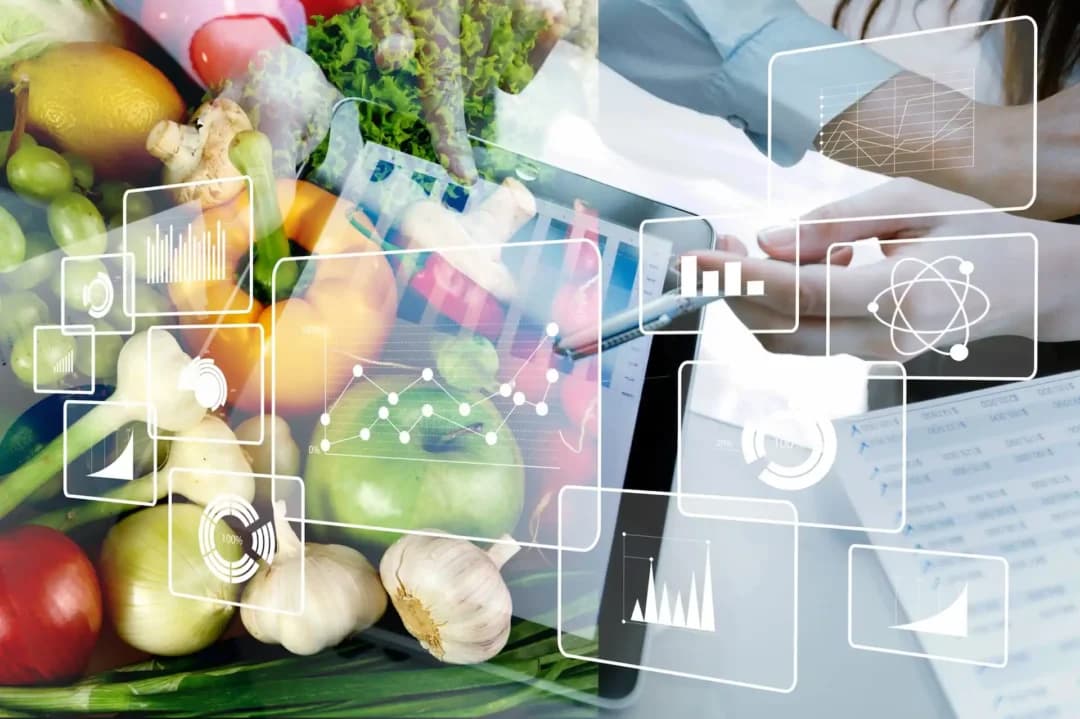 Experiencia Global en Gestión Alimentaria
